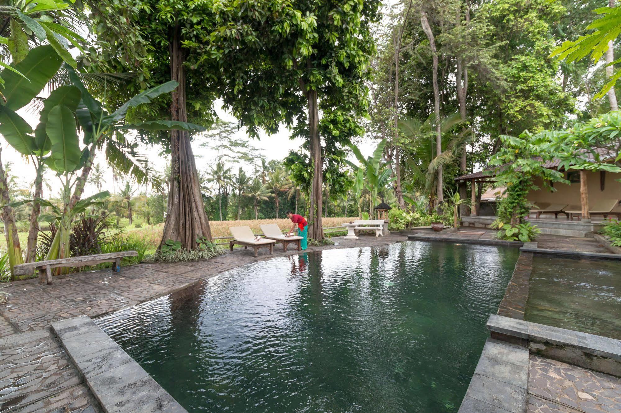 Umasari Rice Terrace Villa Selemadeg Exterior foto